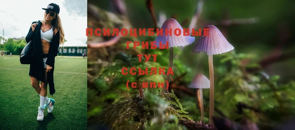 стаф Дмитровск