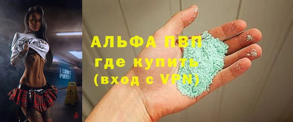 стаф Дмитровск