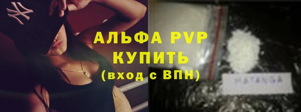стаф Дмитровск