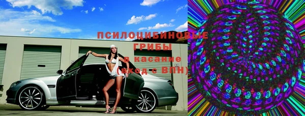 стаф Дмитровск