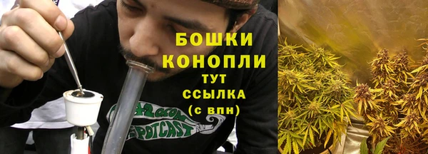 стаф Дмитровск